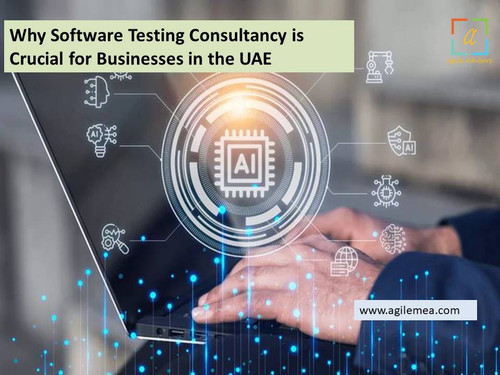 Why Software Testing Consultancy is Crucial for Businesses in the UAE.jpg