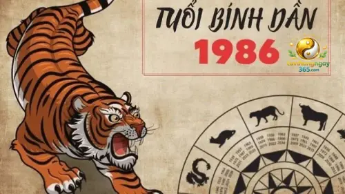 Chi Tiết Về Tử Vi Tuổi Dần Năm 2026.webp