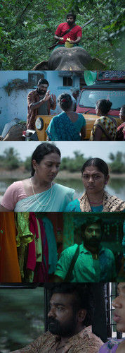 InCollage 20260327 081238563.jpg