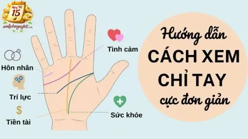 Mệnh lý học.webp