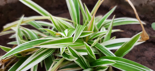 jqsC7Y5oj4ptb7pnAA6cjH6QLmFS8VYS3fVsaTSzT5RBDGays1exhg7CHgYGohMko jOdnSO7bM137BnjY6AQGKOX61bUtzd4W0V.jpg