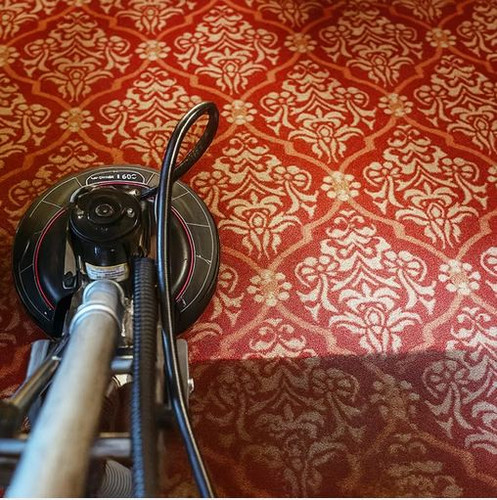 Pet Stain Removal Malta | Mela Clean.jpg