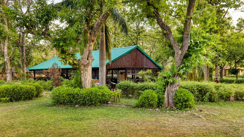 Forest Stay in Jim Corbett at Bijrani Jungle Cottages.jpg