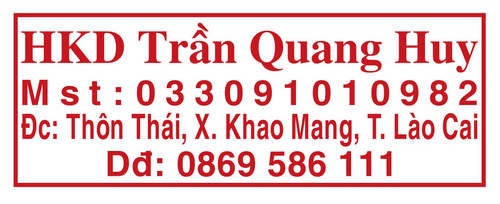 tran quang huy.jpg