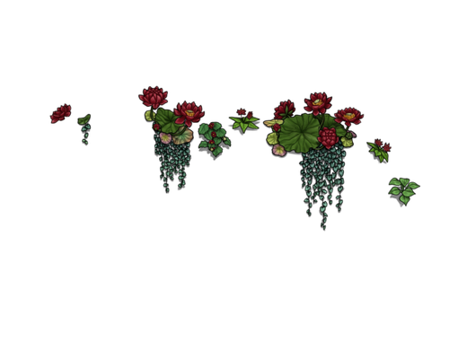 flowering maroon female.png