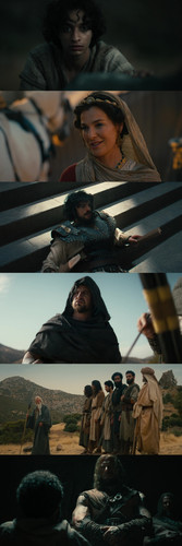 InCollage 20260327 140620783.jpg