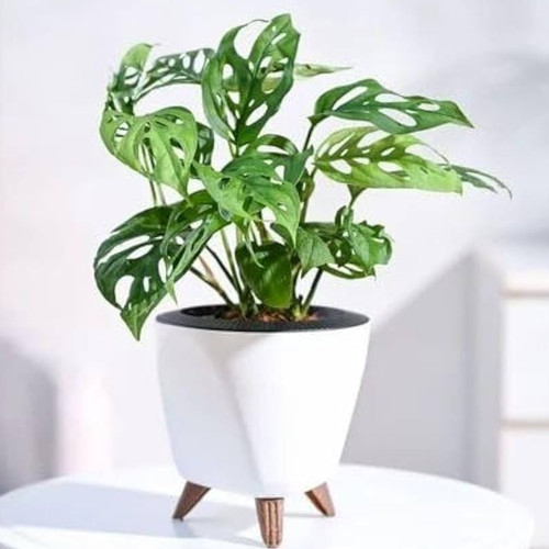 419SKt1s0tL. AC UF1000,1000 QL80 .jpg