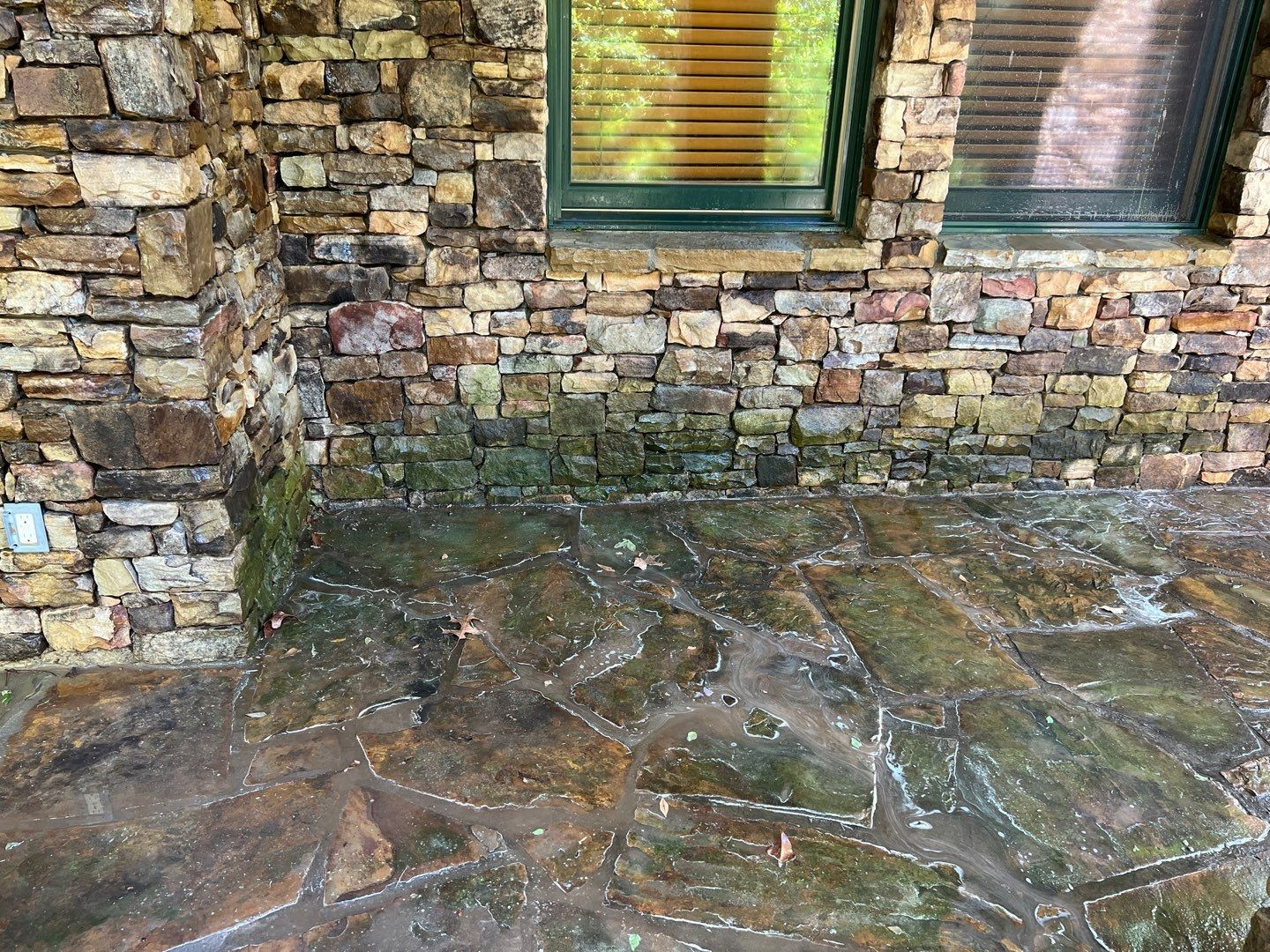 Stone patio covered in algae before pressure washing treatment