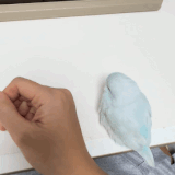 AISelect 20260312 231531 Threads.gif