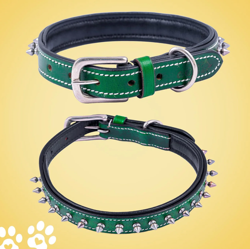 Leather Spike Studded Dog Collar.png
