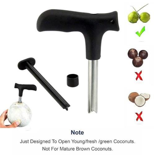 51dbLyA1gsL. SL1080 .jpg