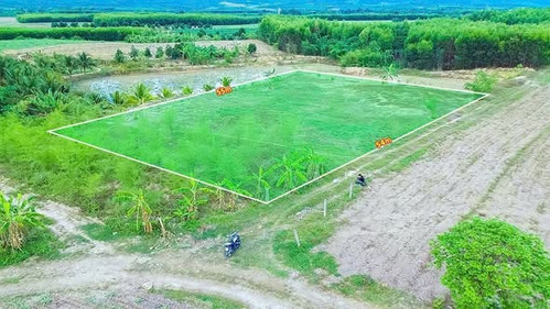 651630636 3010048136051597 5615600682476326474 n.jpg