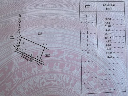 650832385 3010048206051590 5530900952153965249 n.jpg