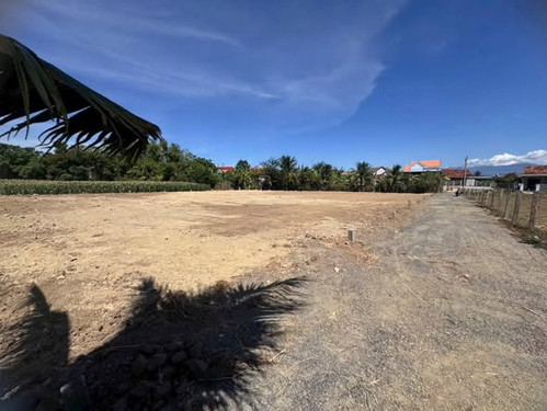 650822649 3440197682816139 2747823649958538156 n.jpg