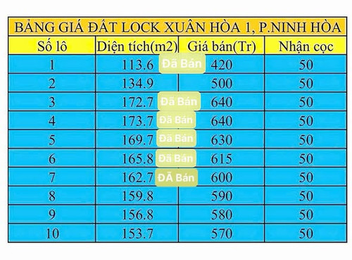 650859091 3440197712816136 7715480934188064543 n.jpg