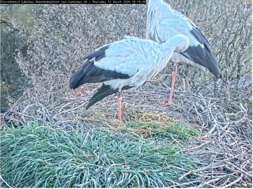 MWSnap417.jpg