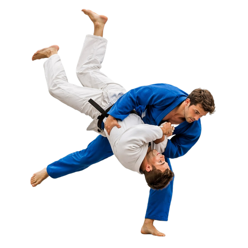judo.png