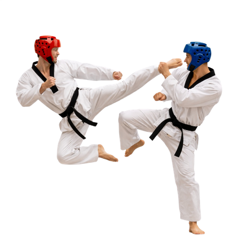 taekwondo.png