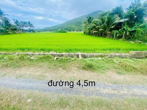 649663991 1993420314861256 8987354174421262248 n.jpg