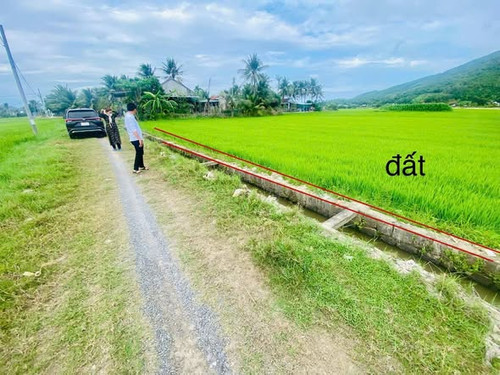 649848846 1993420404861247 8636471213556274861 n.jpg