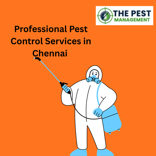 Professional Pest Control Services in Chennai.png