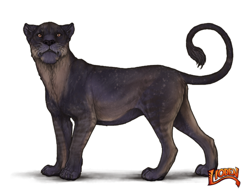 lioden wardrobe (1).png