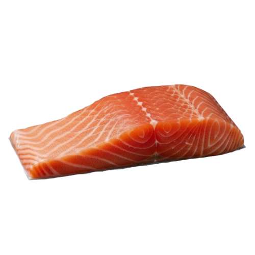 salmon.png