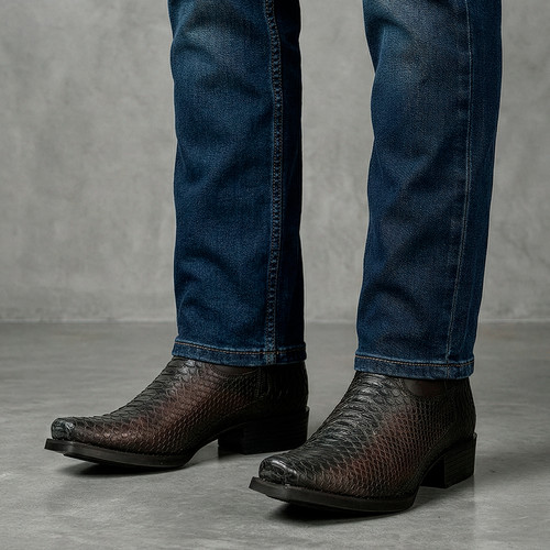 1J4KPH CAFE piton back iran LP IA.jpg