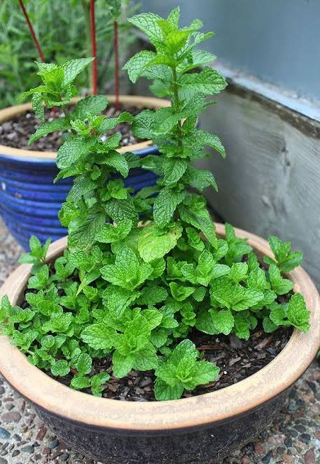 6679ef89 1ca7 4820 b07d dbd140f2f37d.jpg