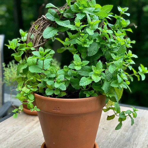 84515bae d5af 4f94 bb45 e03e3182a229.jpg