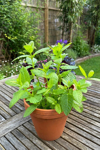 ed43a062 74cc 41f1 a9a4 18e8d446de85.jpg