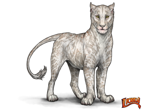 lioden wardrobe (4).png