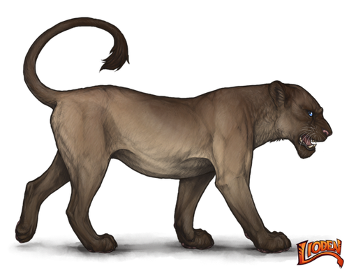 lioden wardrobe (2).png