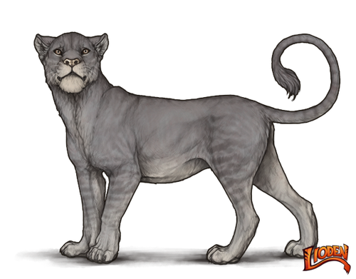 lioden wardrobe (3).png