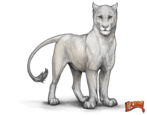 lioden wardrobe (5).png