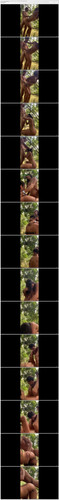 [Lustmaza.net] Naughty Asian Nadia Fantastic Romnce Part 2 (2026) Onlyfns 1080p [Lustwap.com].mp4 th.jpg