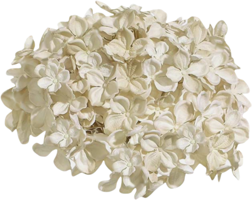 CW Element (140).png