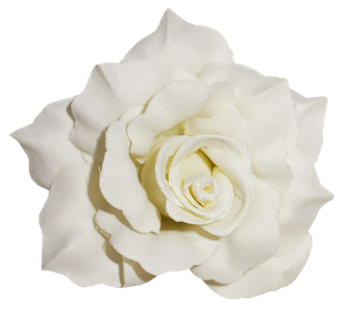 CW Element (118).png