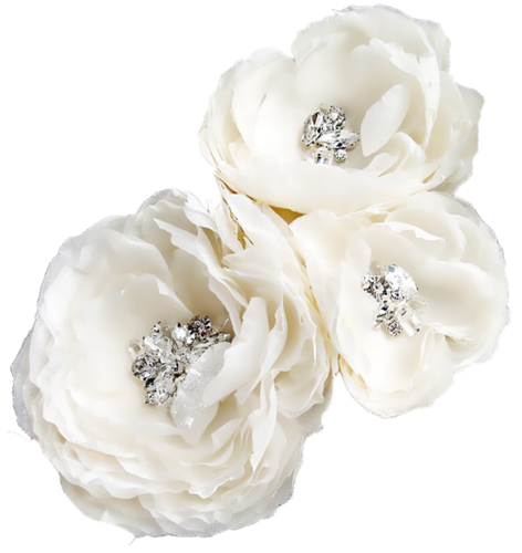 CW Element (120).png