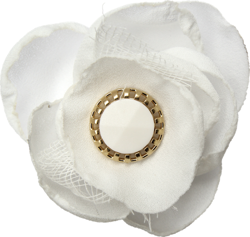 CW Element (121).png