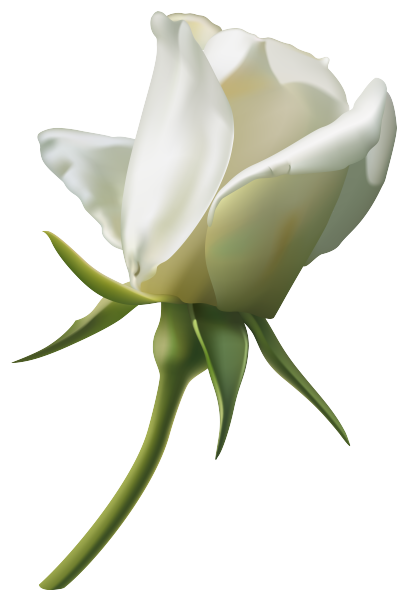 CW Element (124).png