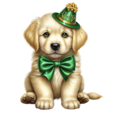 kits tammys welt green night (11)