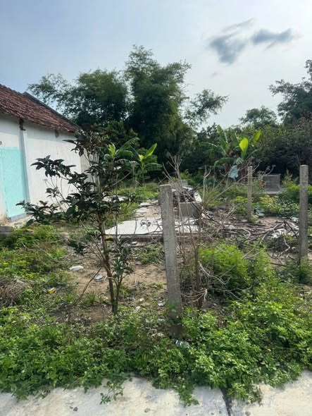 651025424 951710803980948 5257815992914898304 n.jpg