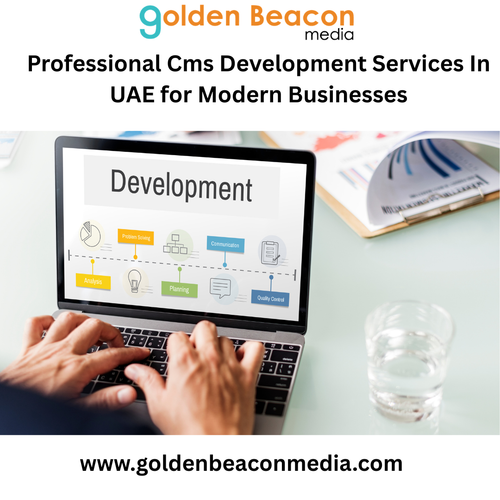 Professional Cms Development Services In UAE.png