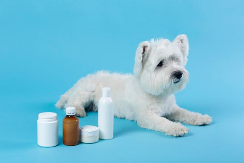 Pet Respiratory Medications Online Tacoma for Effective Breathing Support and Pet Care.jpg