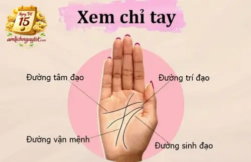 Xem Chỉ Tay Là Gì? Tổng Quan Nhân Tướng Học Trong Mệnh Lý.webp