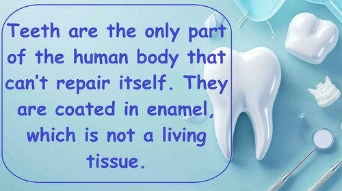 Dental Implants Nassau County.jpg