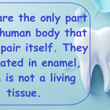 Dental Implants Nassau County