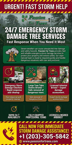 Licensed Arborist Bristol.png