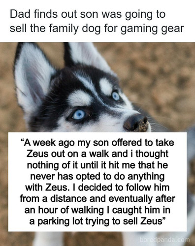 stealing sons dog.jpg